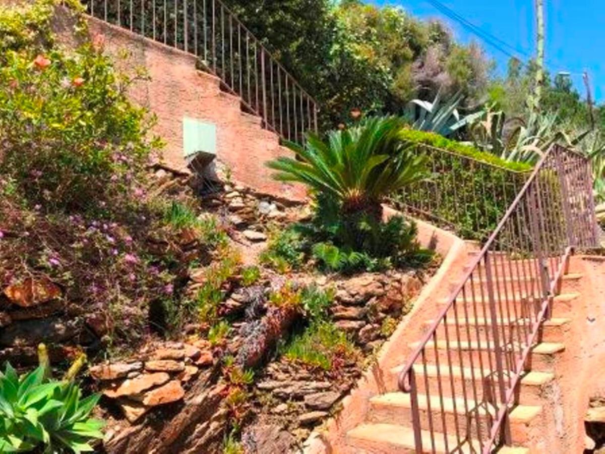 Villa Les Alizes Le Le Rayol-Canadel-sur-Mer Exteriör bild