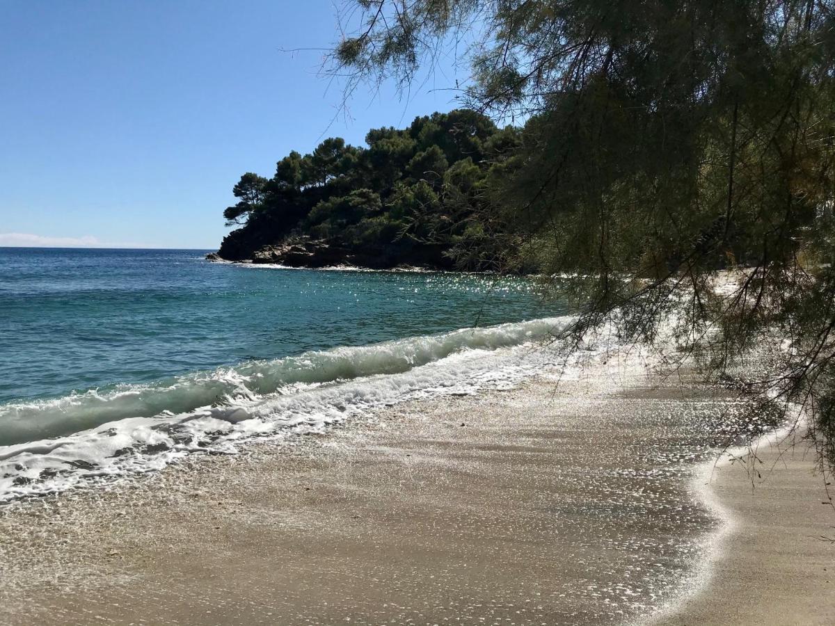 Villa Les Alizes Le Le Rayol-Canadel-sur-Mer Exteriör bild