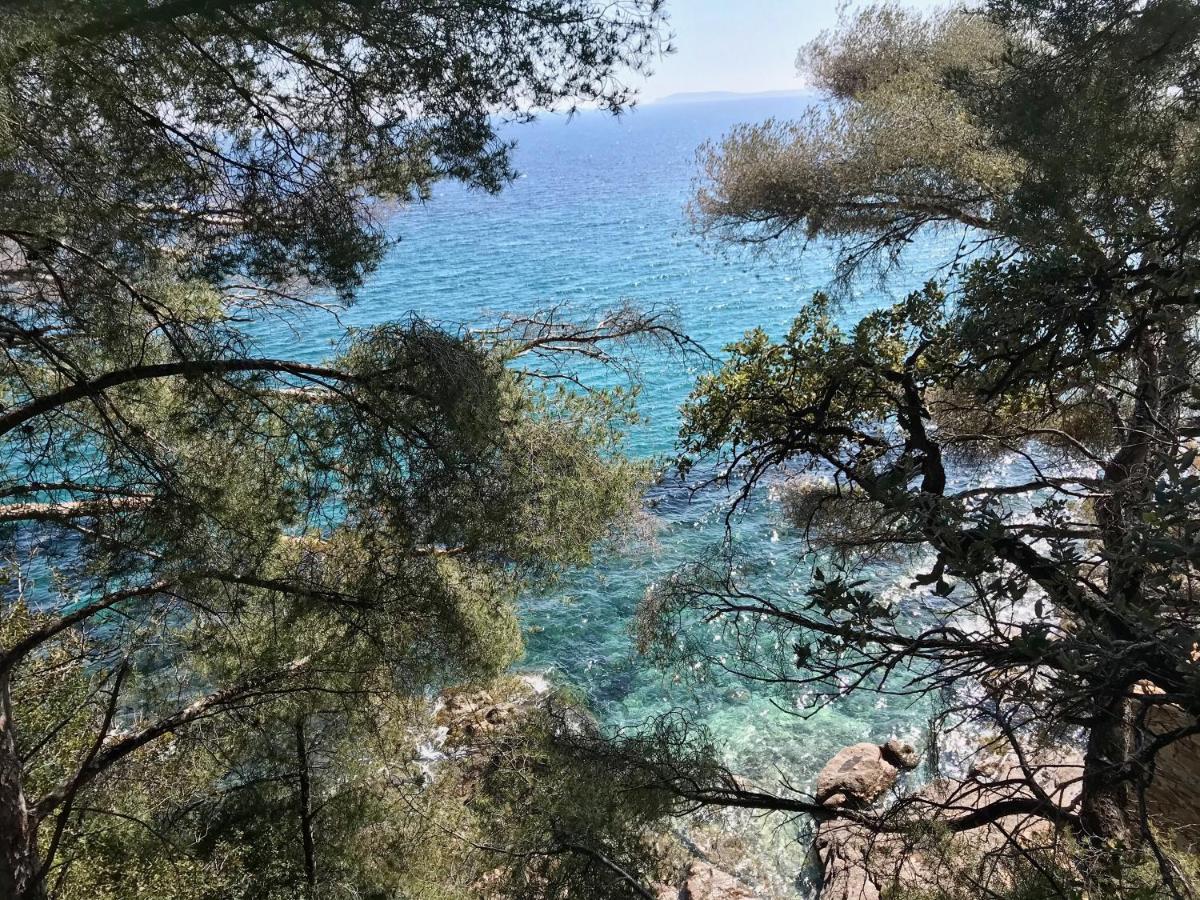 Villa Les Alizes Le Le Rayol-Canadel-sur-Mer Exteriör bild