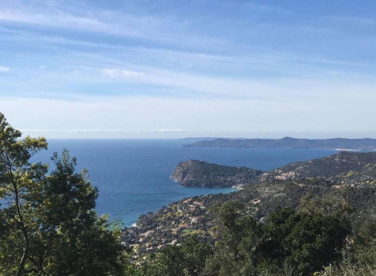Villa Les Alizes Le Le Rayol-Canadel-sur-Mer Exteriör bild