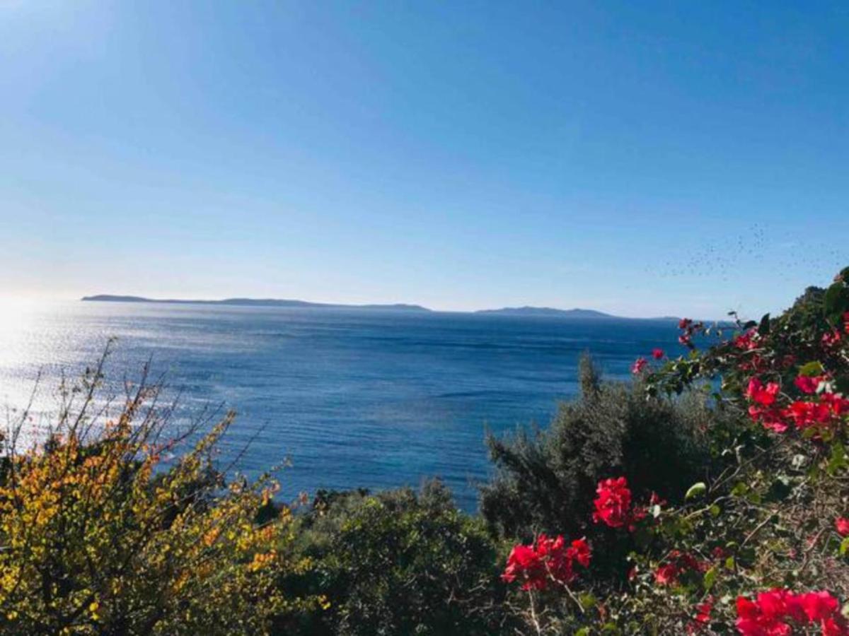 Villa Les Alizes Le Le Rayol-Canadel-sur-Mer Exteriör bild