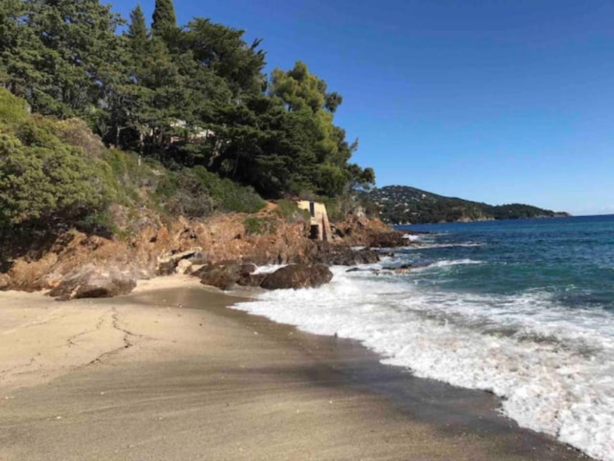 Villa Les Alizes Le Le Rayol-Canadel-sur-Mer Exteriör bild
