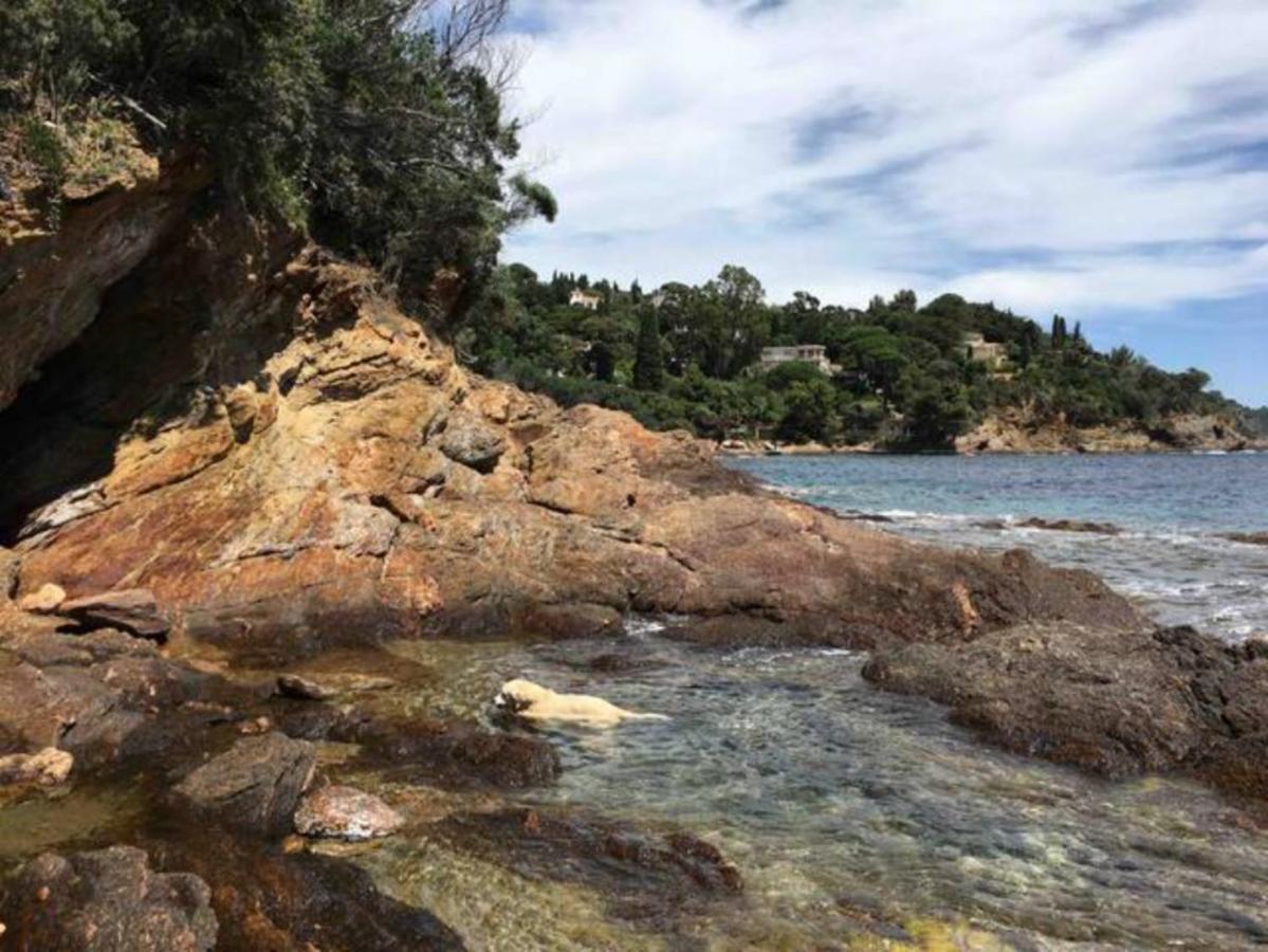 Villa Les Alizes Le Le Rayol-Canadel-sur-Mer Exteriör bild