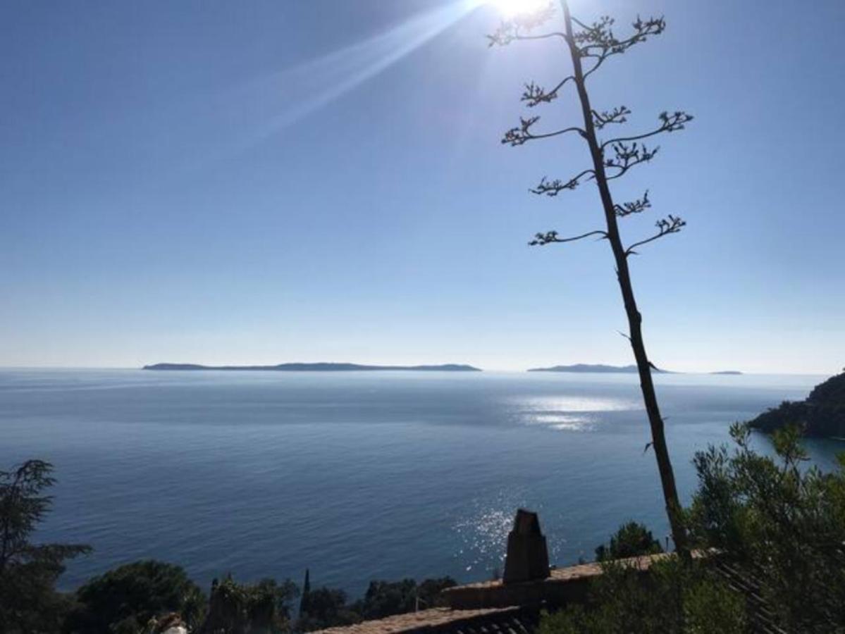 Villa Les Alizes Le Le Rayol-Canadel-sur-Mer Exteriör bild