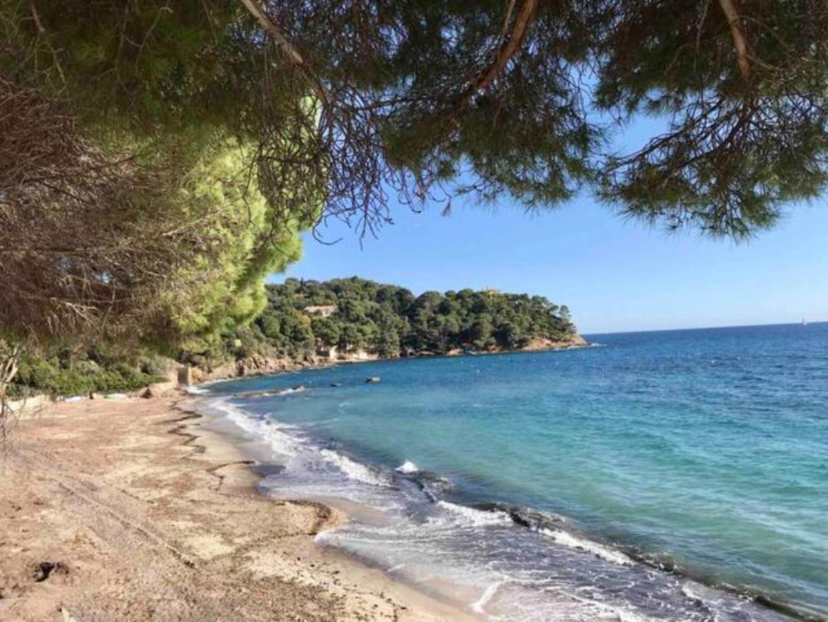 Villa Les Alizes Le Le Rayol-Canadel-sur-Mer Exteriör bild
