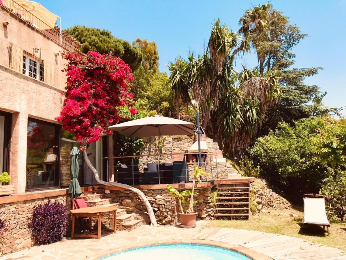 Villa Les Alizes Le Le Rayol-Canadel-sur-Mer Exteriör bild