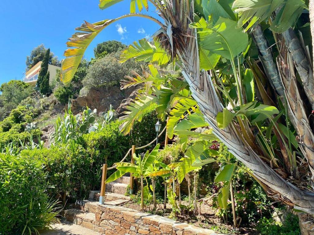 Villa Les Alizes Le Le Rayol-Canadel-sur-Mer Exteriör bild