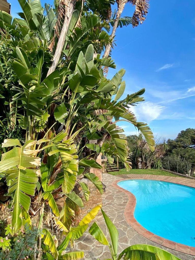 Villa Les Alizes Le Le Rayol-Canadel-sur-Mer Exteriör bild