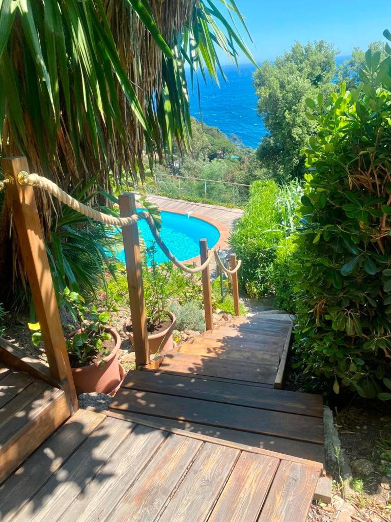 Villa Les Alizes Le Le Rayol-Canadel-sur-Mer Exteriör bild