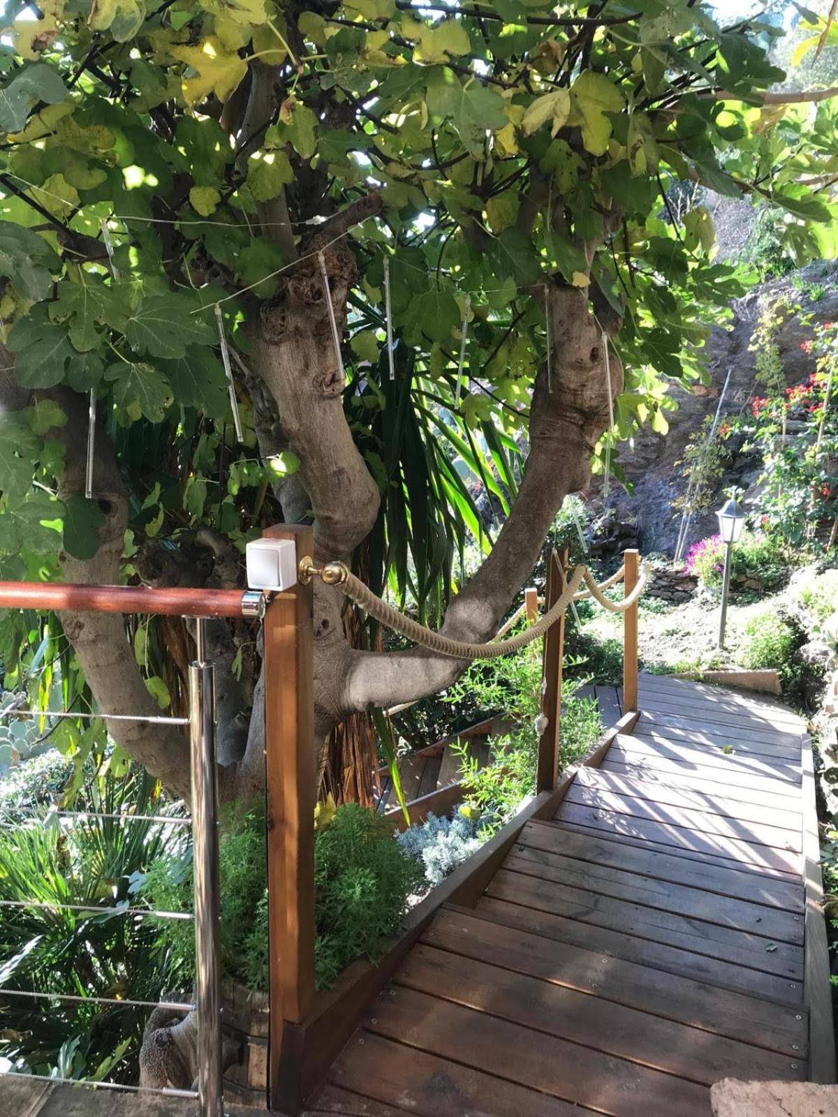 Villa Les Alizes Le Le Rayol-Canadel-sur-Mer Exteriör bild